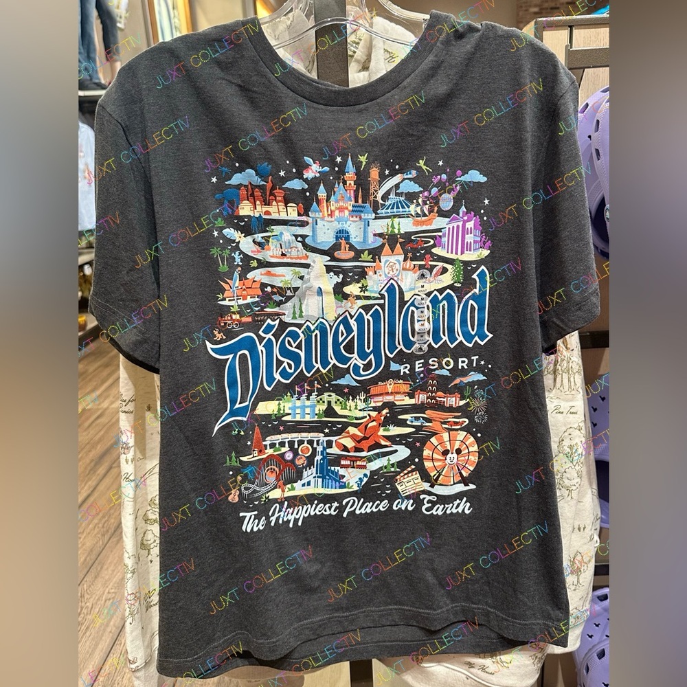 NWT Disneyland Resort Attractions Gray Graphic Shirt